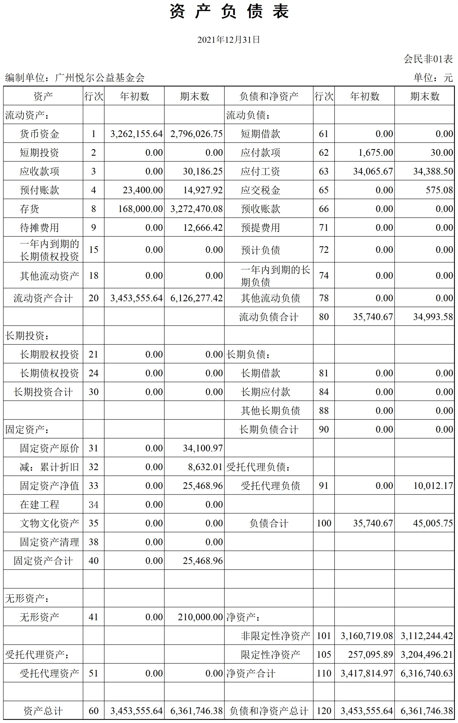 审计报告附表0316_资负(民非).png